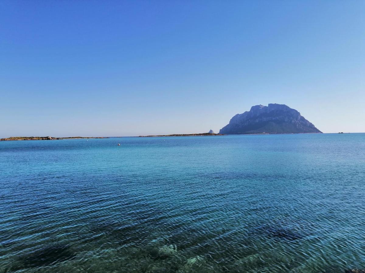 Aria Di Vacanza - Molara Loiri Porto San Paolo Bagian luar foto